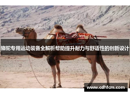 骆驼专用运动装备全解析帮助提升耐力与舒适性的创新设计