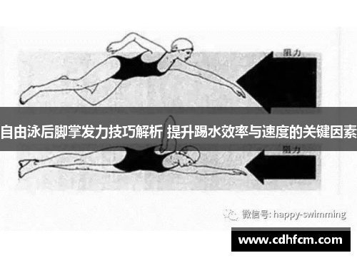 自由泳后脚掌发力技巧解析 提升踢水效率与速度的关键因素
