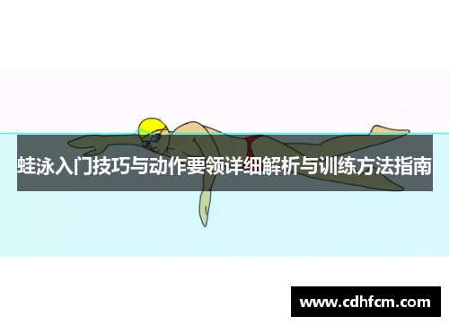 蛙泳入门技巧与动作要领详细解析与训练方法指南