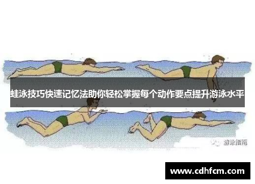 蛙泳技巧快速记忆法助你轻松掌握每个动作要点提升游泳水平